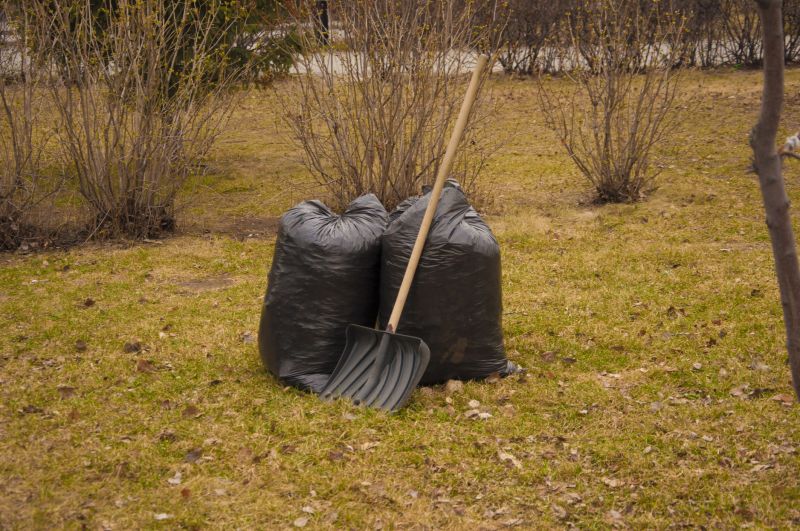Overgrown Yard Cleanup