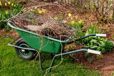 Overgrown Yard Cleanup