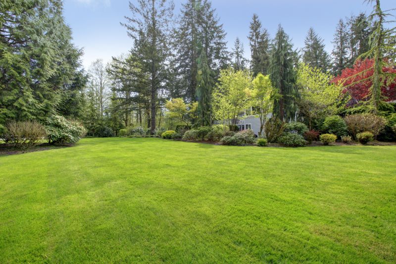 Overgrown Yard Cleanup Costs — Cost of Overgrown Yard Cleanup