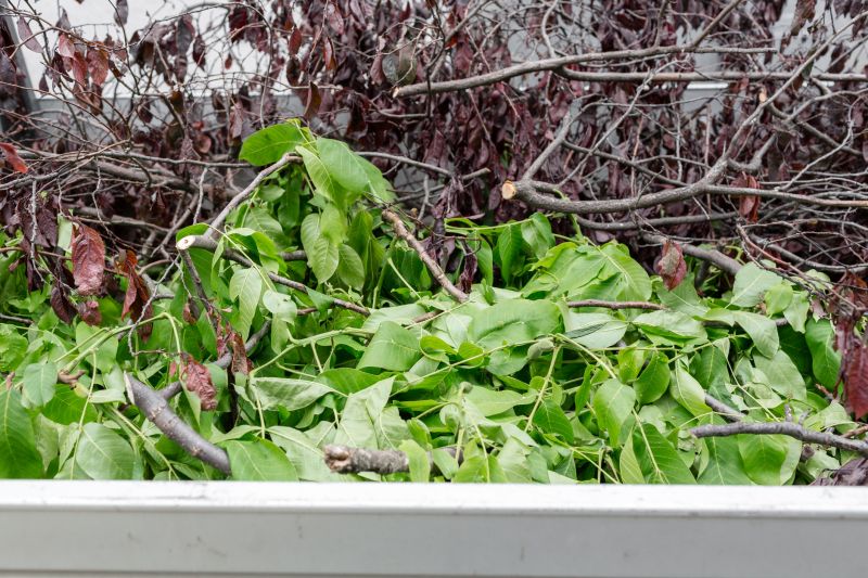 Overgrown Yard Cleanup Costs — Cost of Overgrown Yard Cleanup