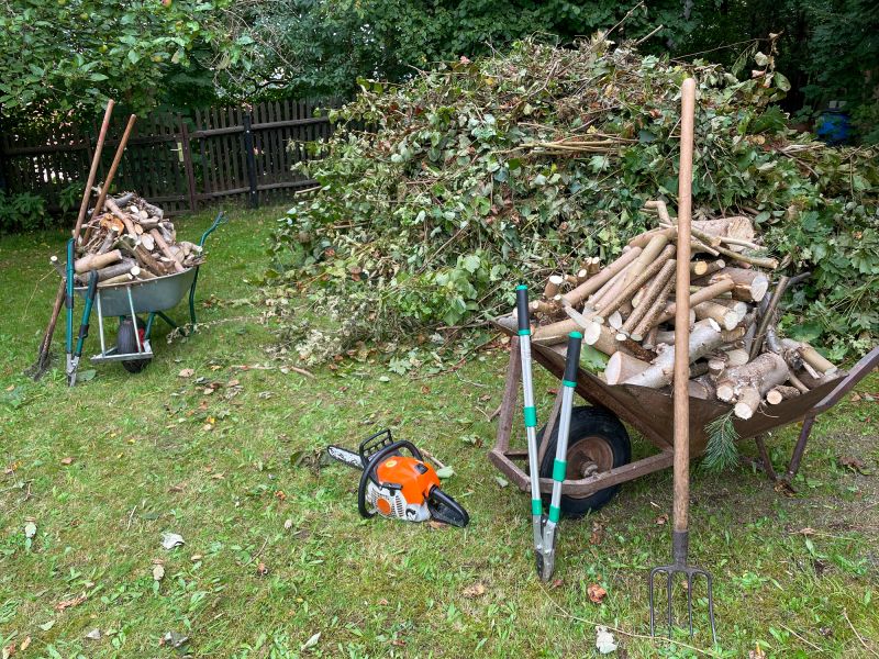 Overgrown Yard Cleanup Costs — Cost of Overgrown Yard Cleanup