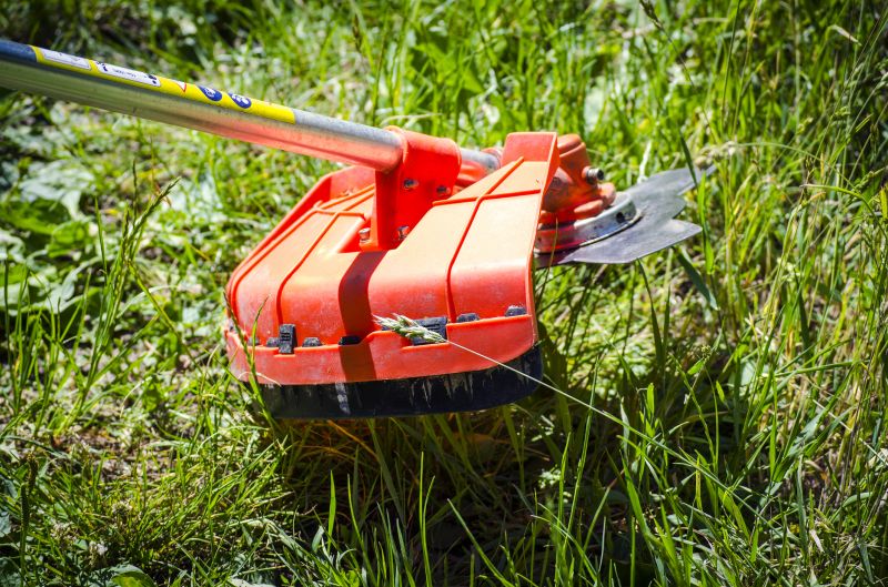 Tools for Yard Clearing