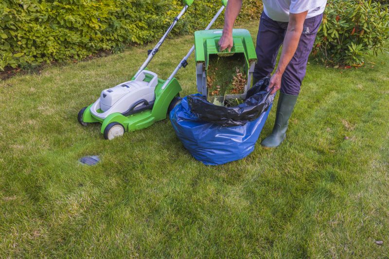 Products For Overgrown Yard Cleanups in use